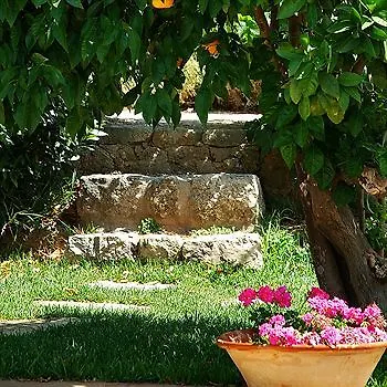 בוניולה Finca Sa Maniga 3*,